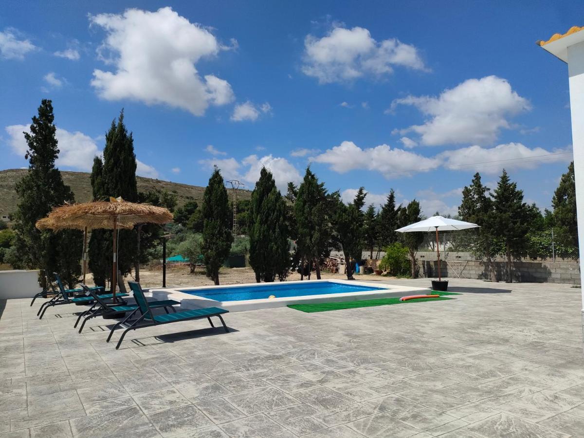 Casa Rural Con Piscina Climatizada Y Barbacoa A 10 Km De Alicante Y Playas, 3000 M2 De Terreno Elche Exterior foto